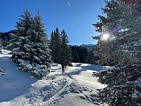 Richtung Sebenalpe