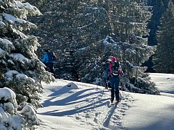 Durch den verschneiten Wald