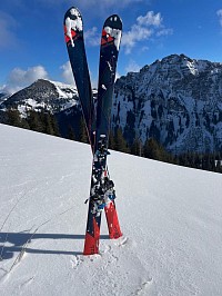 Vogelhörnle