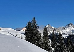 Vogelhörnle