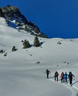Vogelhörnle