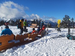 Vogelhörnle