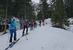 Aufstieg durch den Wald